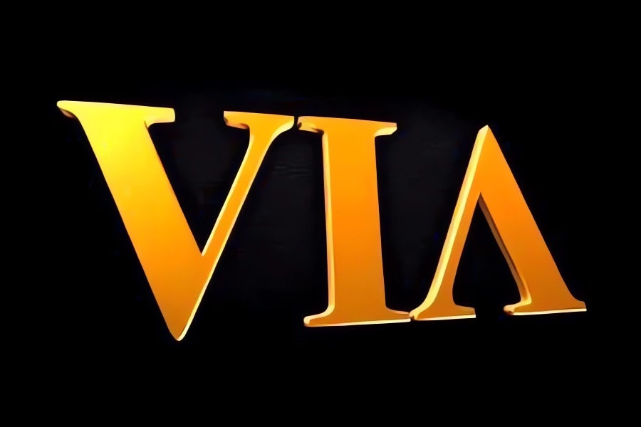 Logo minimaliste du VIA en texte doré sur fond noir.