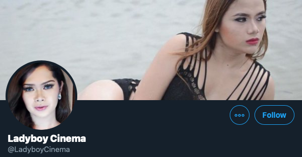 ladyboycinema twitter account
